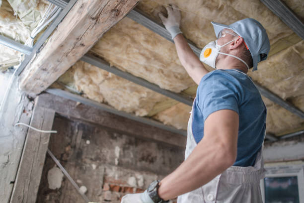 Best Home Insulation Services  in Kenmore, WA